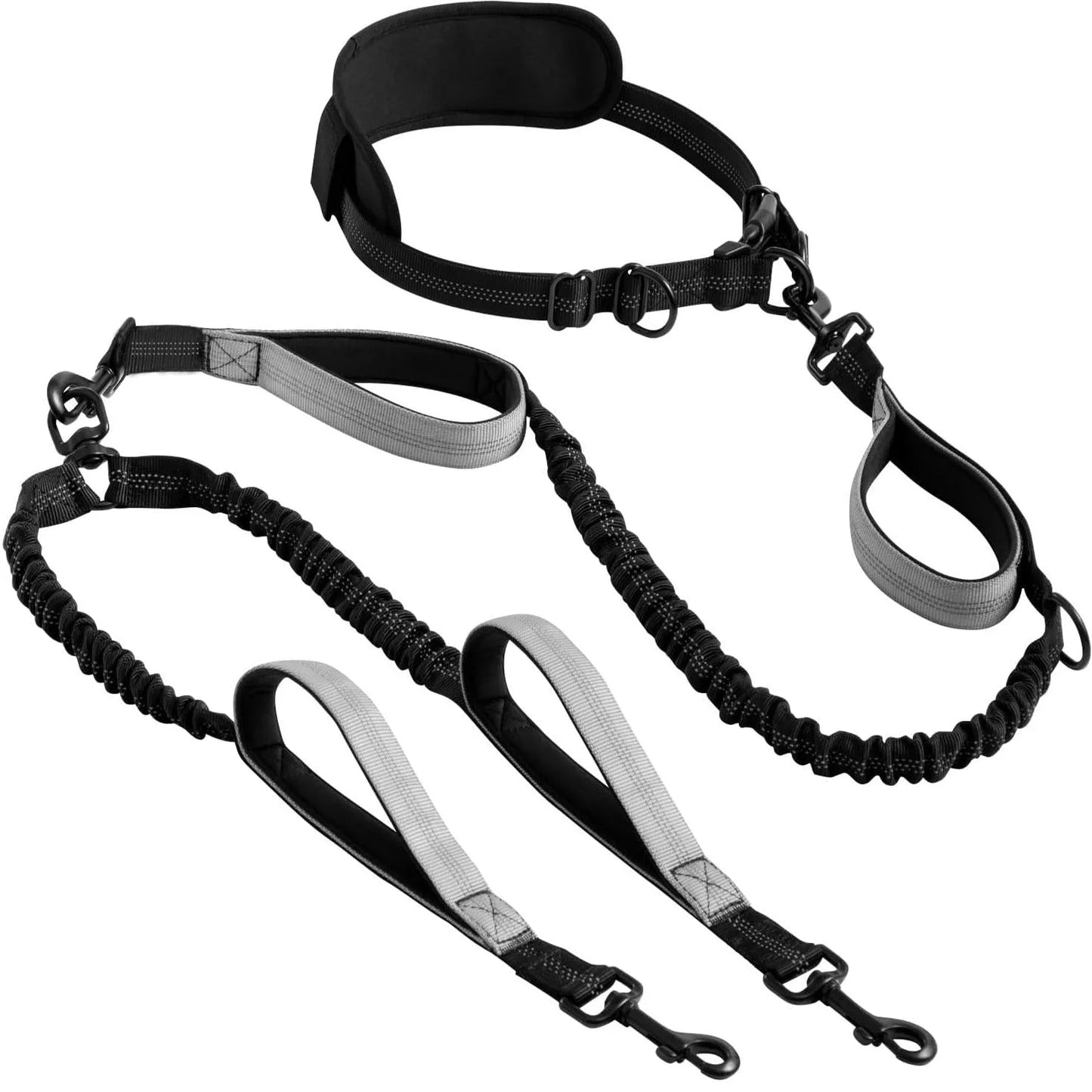 FreeStride™ | Freihändige Doppel-Hundeleine mit Hüftgurt