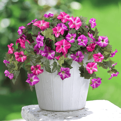 EverBloom – Künstlicher Petunien-Hängekorb