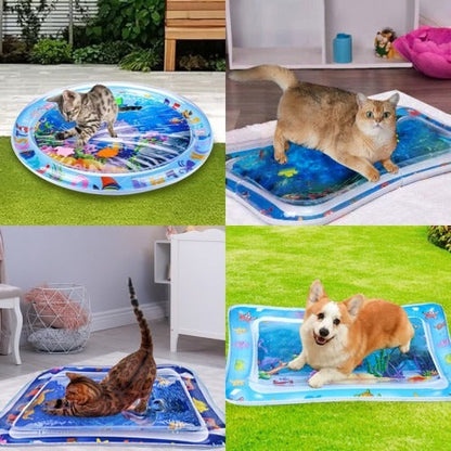 AquaPlay - Die perfekte Wassermatte für Haustiere | 50% RABATT