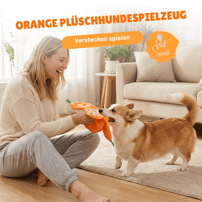 CitrusQuest — Interaktives Hundespielzeug | 50% RABATT