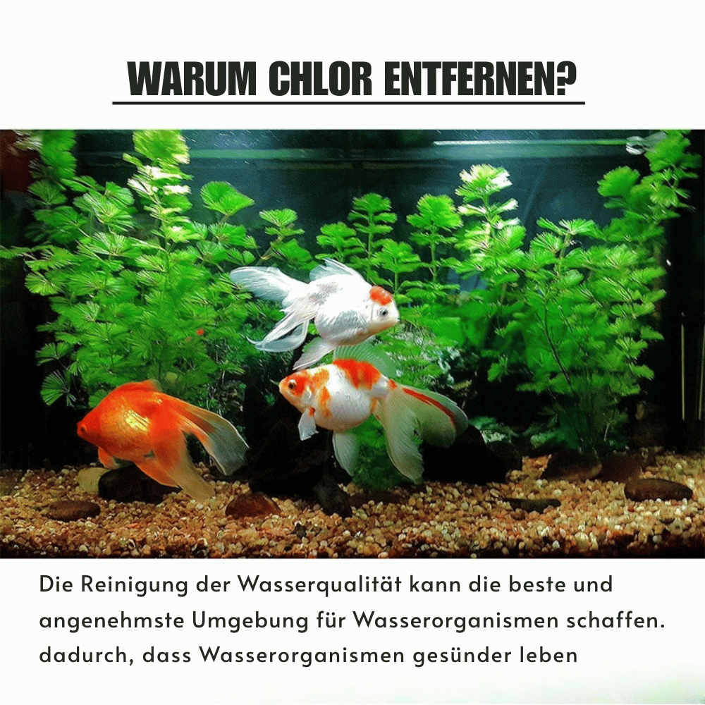AquaPure — Chlorabwehr Tabletten | 1+1 GRATIS
