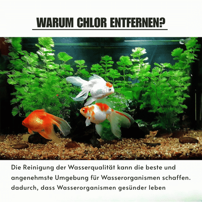 AquaPure — Chlorabwehr Tabletten | 1+1 GRATIS