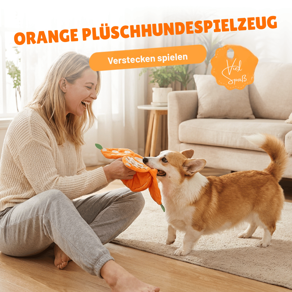 SniffBuddy™ | Hundespielzeug – Interaktives Schnüffelspiel, Plüsch & faltbar