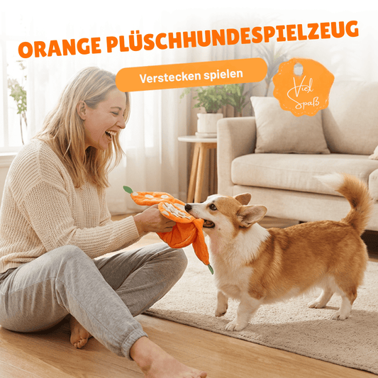 SniffBuddy™ | Hundespielzeug – Interaktives Schnüffelspiel, Plüsch & faltbar