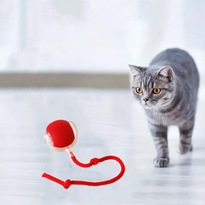KatzenPower - Interaktiver Indoor-Katzenball | 1+1 GRATIS