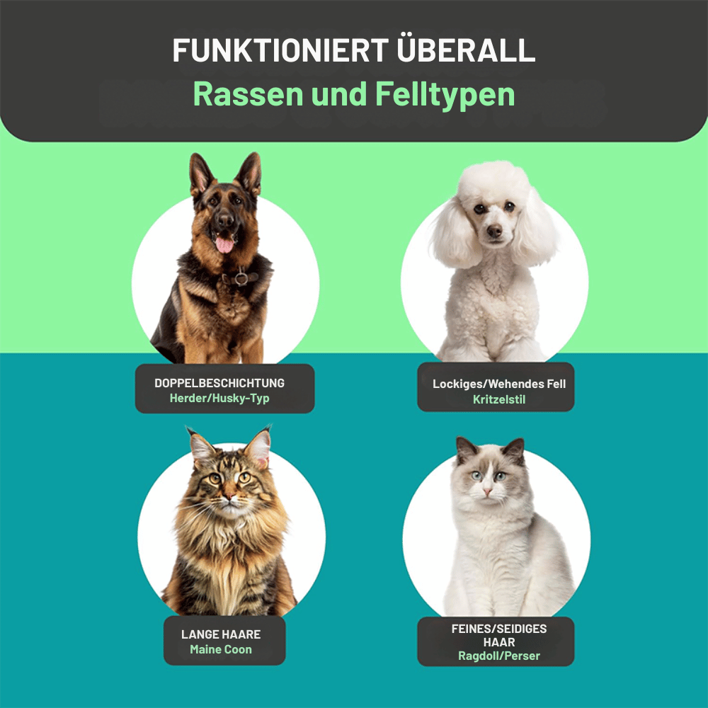 WhisperEase — Doppelter Fellkamm | 1+1 GRATIS