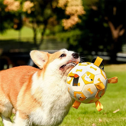PawKick™ | Aufblasbarer Hundefußball mit Greifbändern