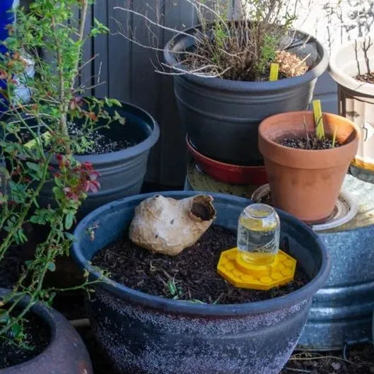GlowNectar — Garten-Futterspender für Bienen und nützliche Insekten