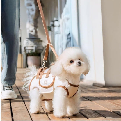 PawCarry™ | Hundetrage – Schultergurt, atmungsaktiv & sicher