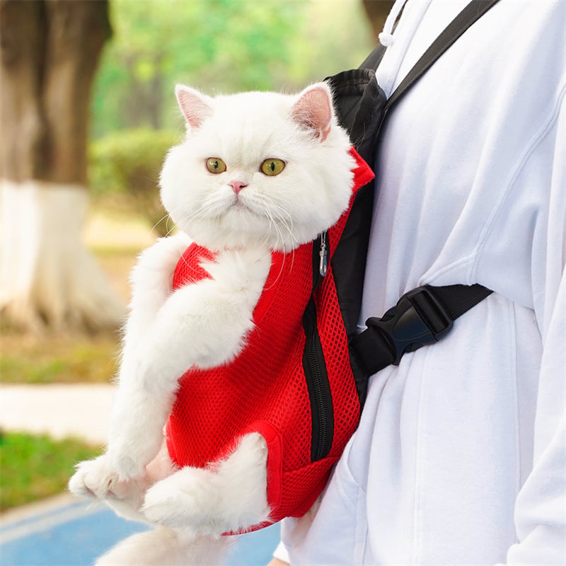 PawCarry™ | Ergonomischer Haustier-Transportrucksack