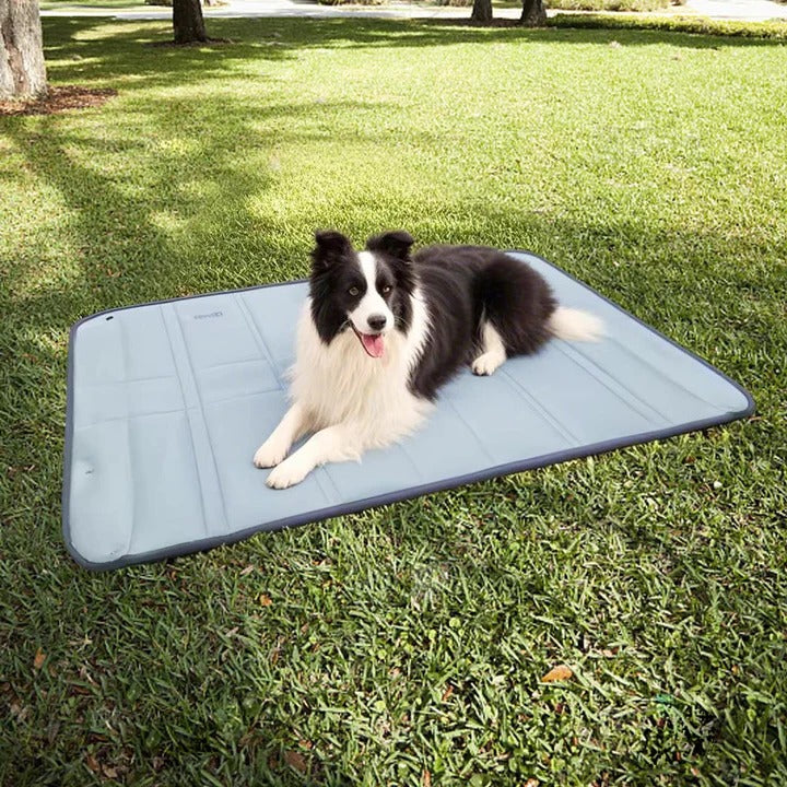 PetVoyage™ | Wasserabweisende Reisetasche für Haustier-Zubehör