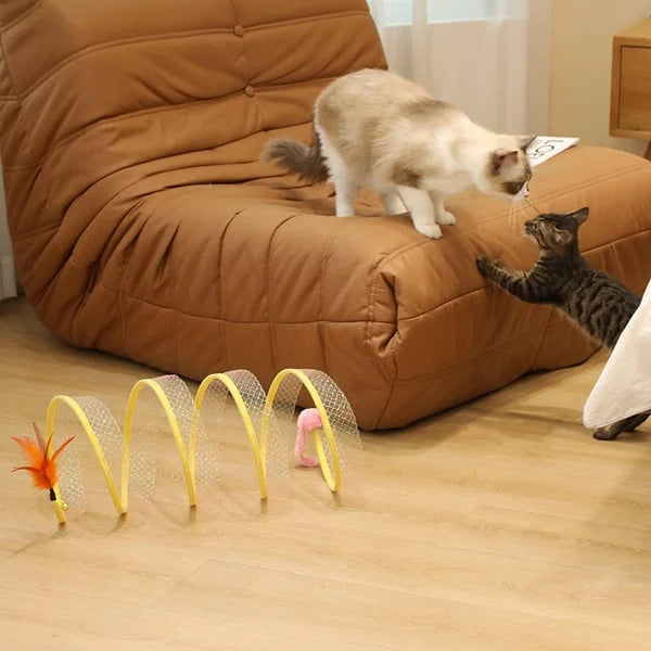 FlexiCat - Einfach Stress abbauen und Katzen in Form halten | 50% RABATT