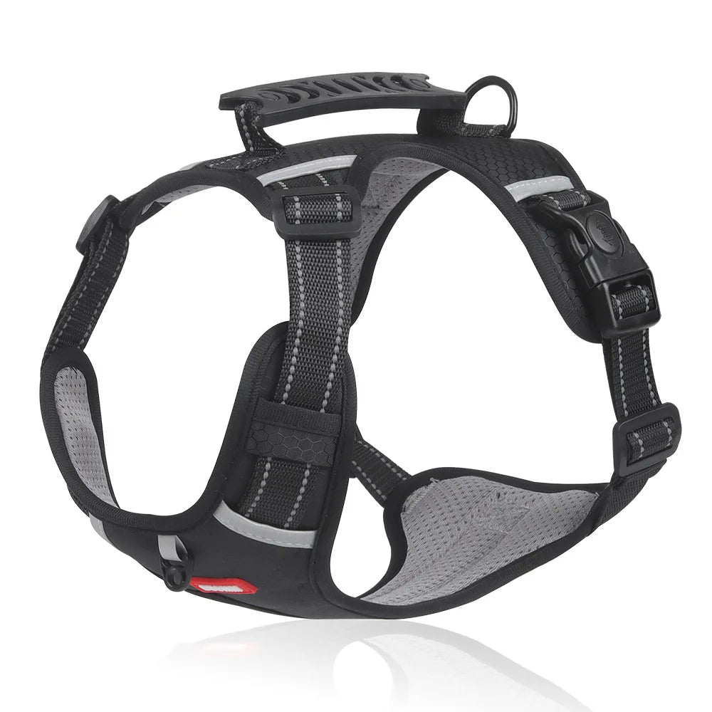 PawGuard™ – Hundegeschirr für Komfort & Sicherheit | 50% RABATT