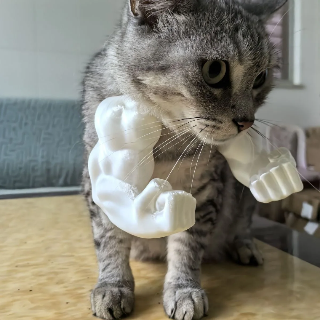 1+1 GRATIS | CatPaws™ | Superhelden-Katzenarme