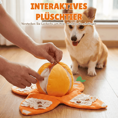 CitrusQuest — Interaktives Hundespielzeug | 50% RABATT