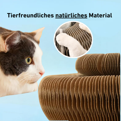 PouncePlay™ – Interaktives Kratzspiel mit Glöckchen für aktive Katzenmomente [50 % Rabatt]