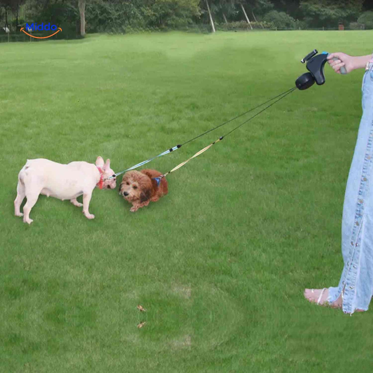 DualWalk – Mühelose, verhedderungsfreie Kontrolle bei Spaziergängen mit zwei Hunden