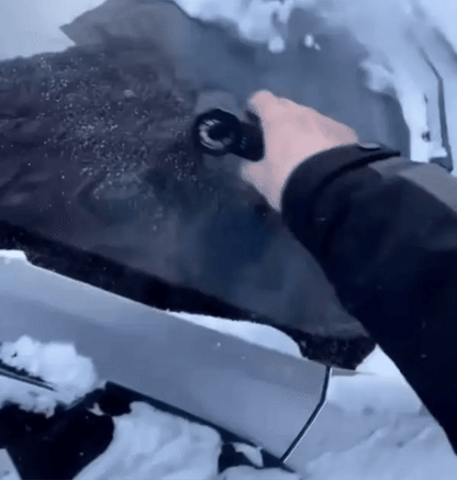 Snowver™ | Schneller Schnee räumen und mühelose Winterfreiheit genießen