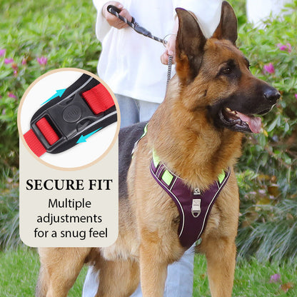 SafeGlow Harness™ | No-Pull Hundegeschirr mit LED-Halsband