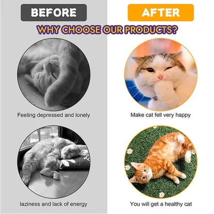 FlexiCat - Einfach Stress abbauen und Katzen in Form halten | 50% RABATT