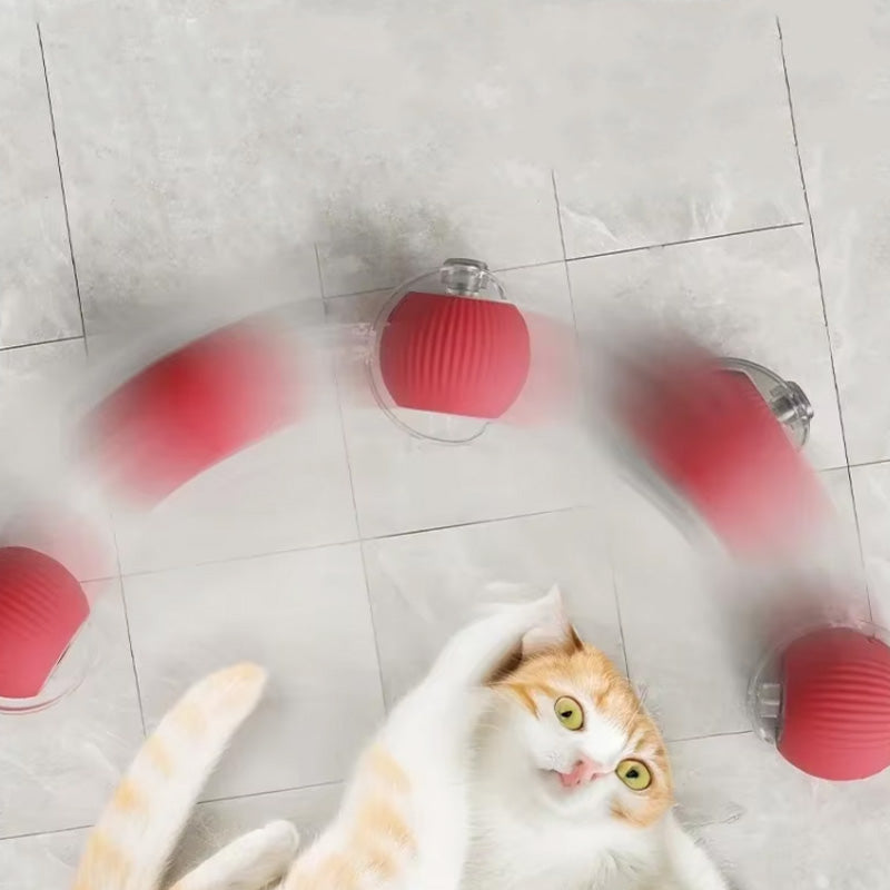 KatzenPower - Interaktiver Indoor-Katzenball | 1+1 GRATIS