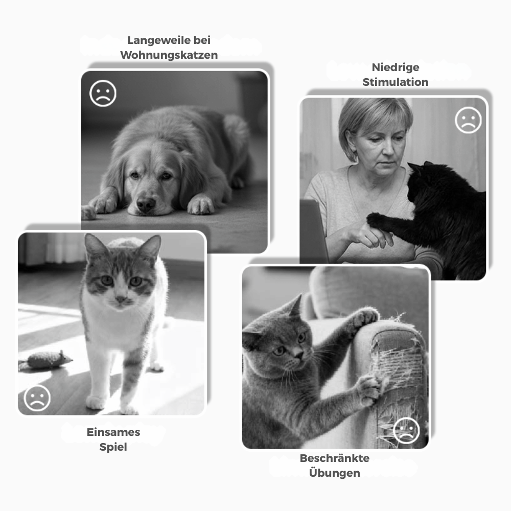 CitrusQuest — Interaktives Hundespielzeug | 50% RABATT