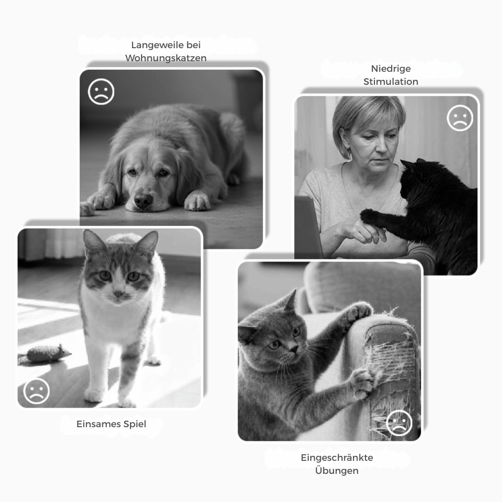 SniffBuddy™ | Hundespielzeug – Interaktives Schnüffelspiel, Plüsch & faltbar