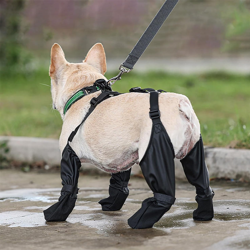 PawGuard - Sichere und komfortable Pfoten | 1+1 GRATIS