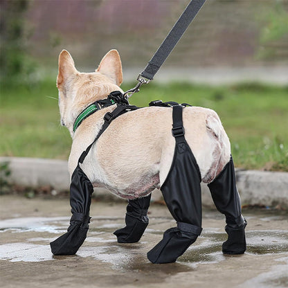 PawGuard - Sichere und komfortable Pfoten | 1+1 GRATIS