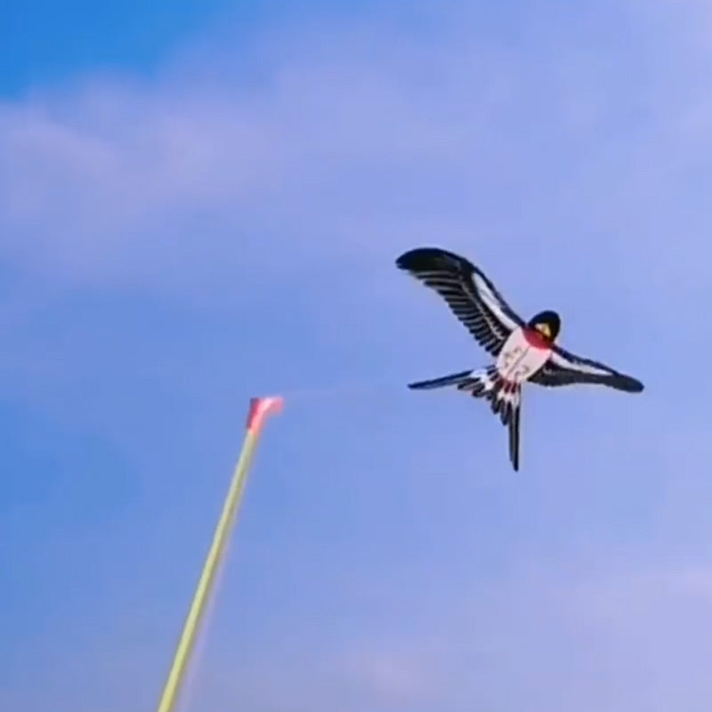 SkyStride – Magischer Flugspaß im Freien | 1+1 GRATIS