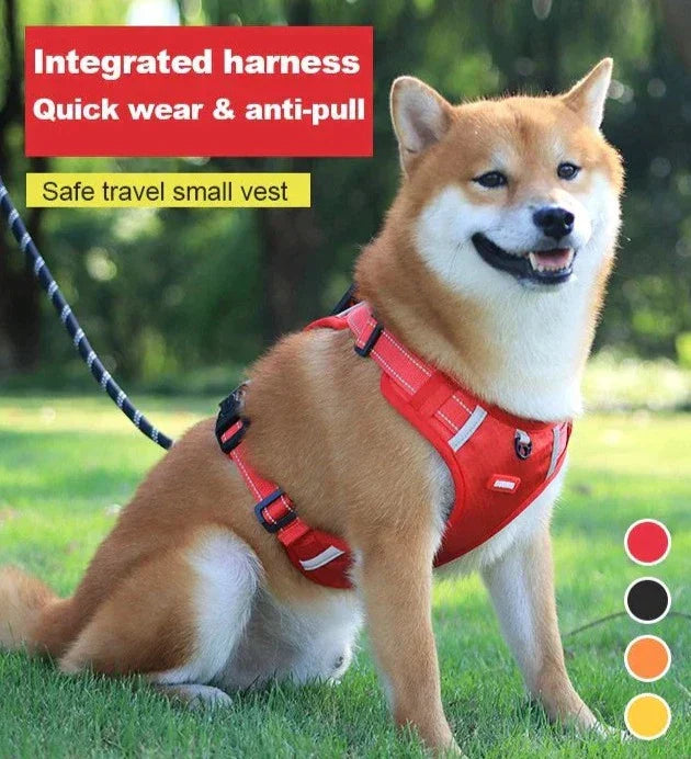 PawGuard™ – Hundegeschirr für Komfort & Sicherheit | 50% RABATT