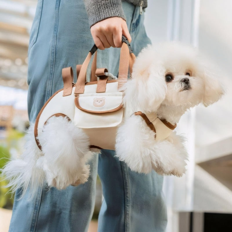 PawCarry™ | Hundetrage – Schultergurt, atmungsaktiv & sicher