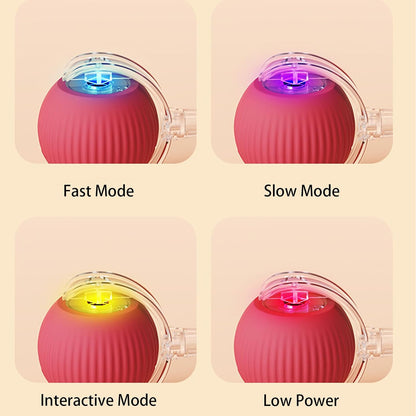 1+1 GRATIS | FetchiePaws - Automatische, sich selbst bewegende Aktion