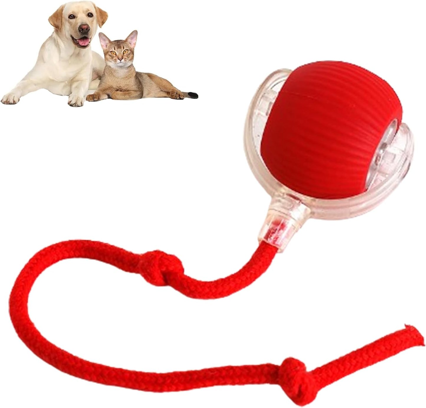 1+1 GRATIS | FetchiePaws - Automatische, sich selbst bewegende Aktion
