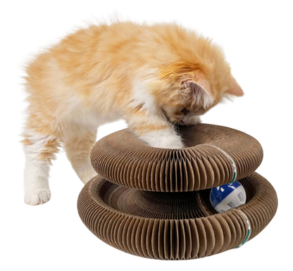 Katzenburg™ - Spielzeug aus Pappe für Katzen | 50% RABATT