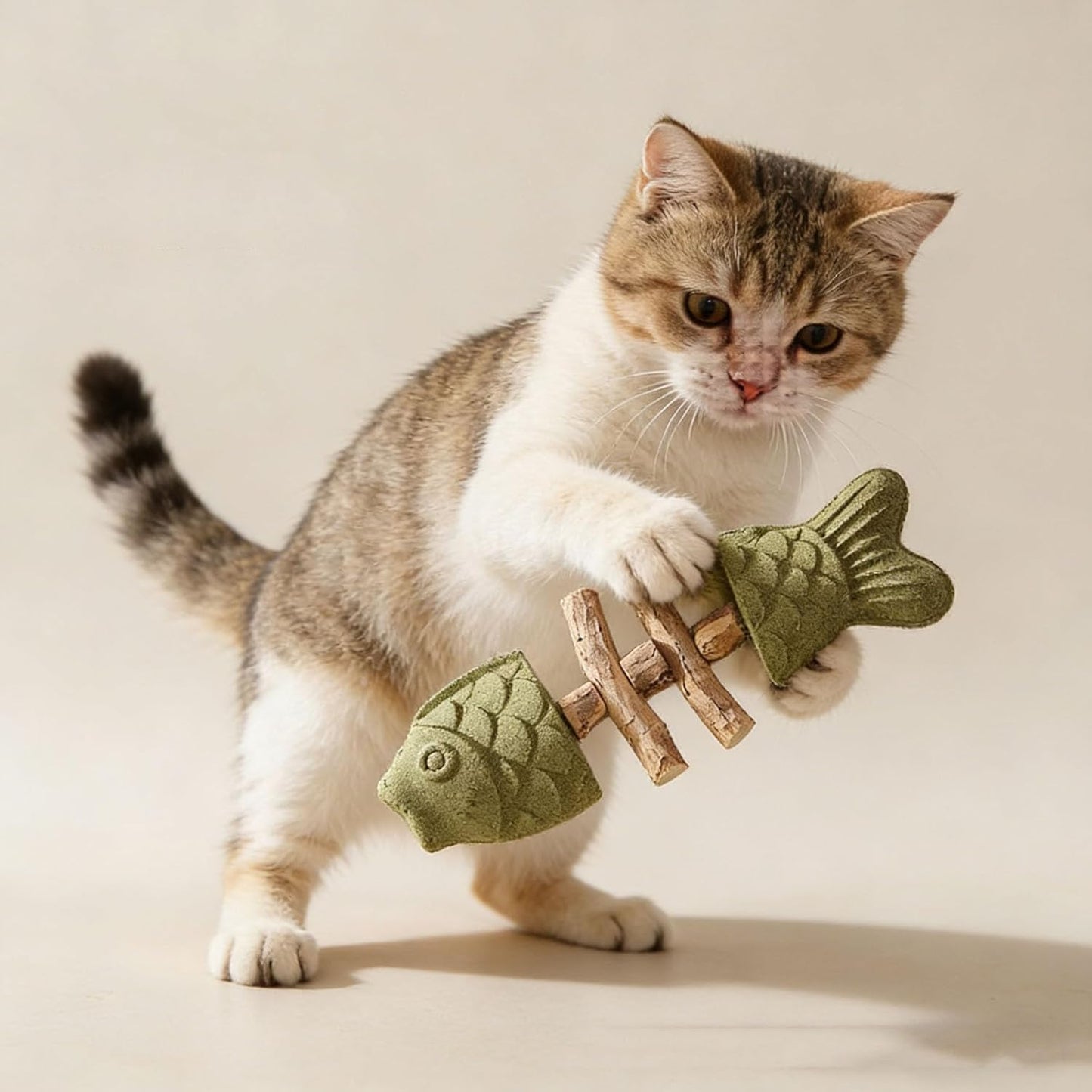 PurrEase™ | Natürliches Katzen-Kauspielzeug mit Silberwein & Katzenminze