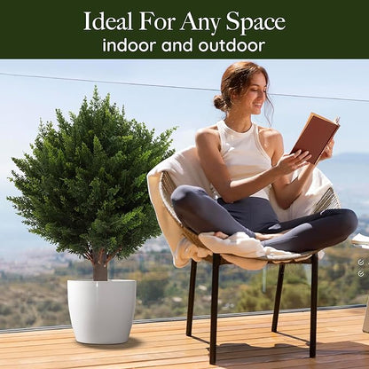 EverGreen-Zeder – dekorativer Outdoor-Baum im Topf