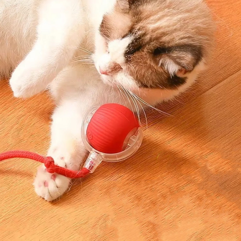 KatzenPower - Interaktiver Indoor-Katzenball | 1+1 GRATIS