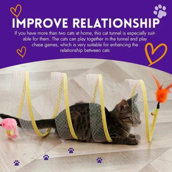 FlexiCat - Einfach Stress abbauen und Katzen in Form halten | 50% RABATT