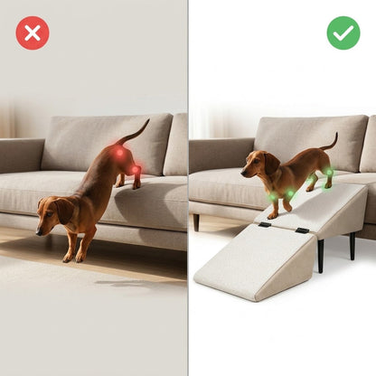 Hunderampe mit Hocker-Funktion – klappbare Aufstiegshilfe für Sofa & Bett