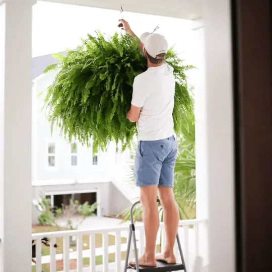 GreenGlow – Naturgetreuer künstlicher Bostonfarn