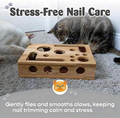 ScratchHub™ | Interaktive Katzen-Kratzbox mit Krallenfeiler