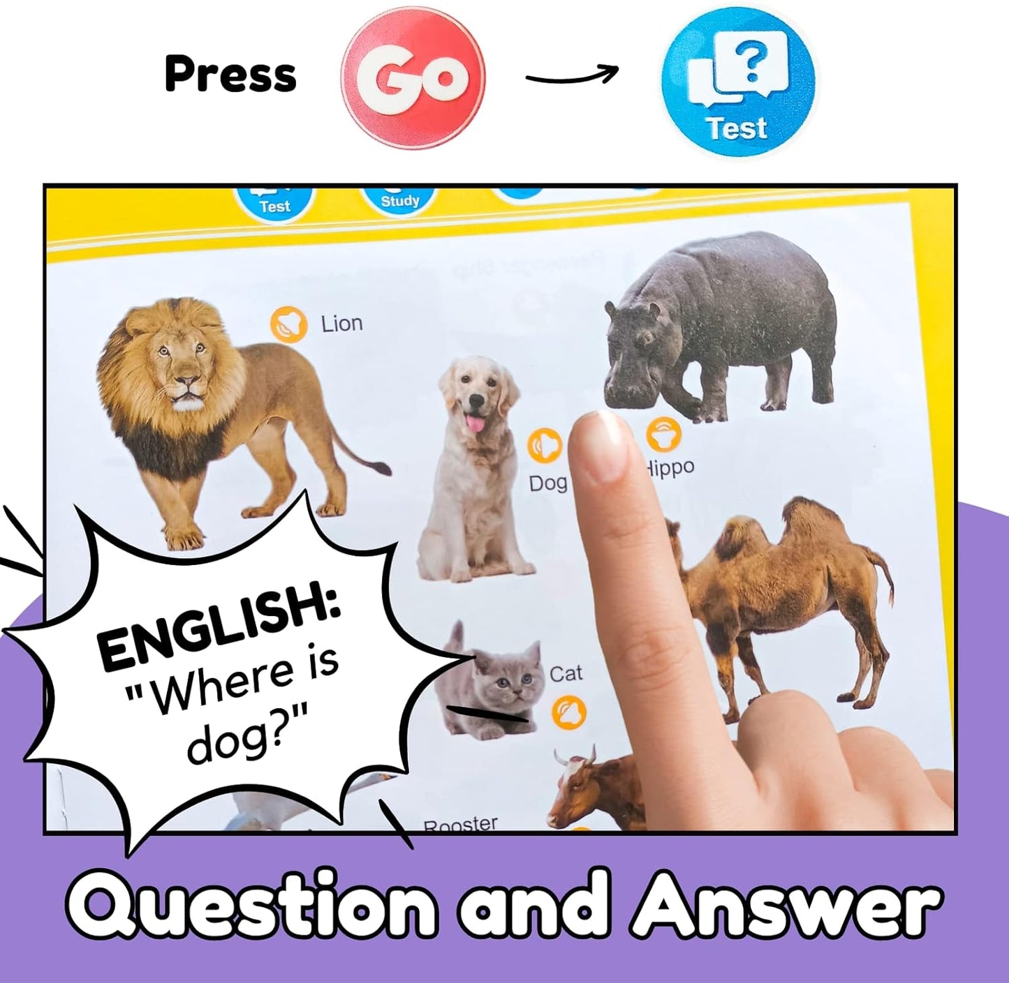 50% RABATT | LearnTunes™ | Englisch-Soundbuch für Kinder