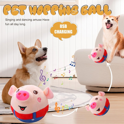 50% RABATT | BarkBounce™ | Ein Spielzeug, das Ihr Hund nie aufgeben möchte!