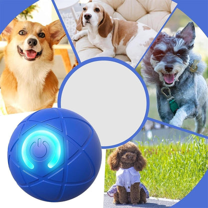 50% Rabatt | WaggleBall ™ | 24/7 Unterhaltung für Ihr Haustier