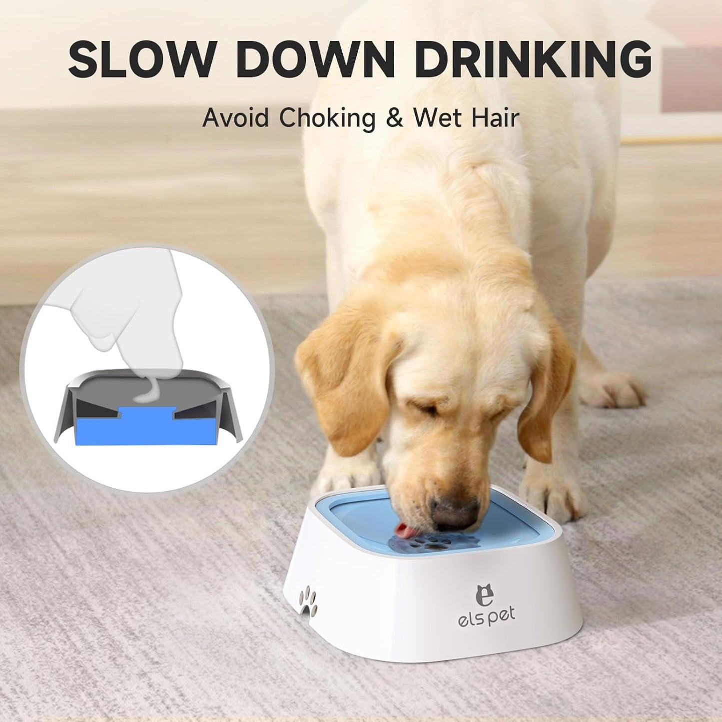 PawClean™ | Anti-Kleckern Wassernapf – Auslaufsicher, schwimmender Rand & leicht zu reinigen