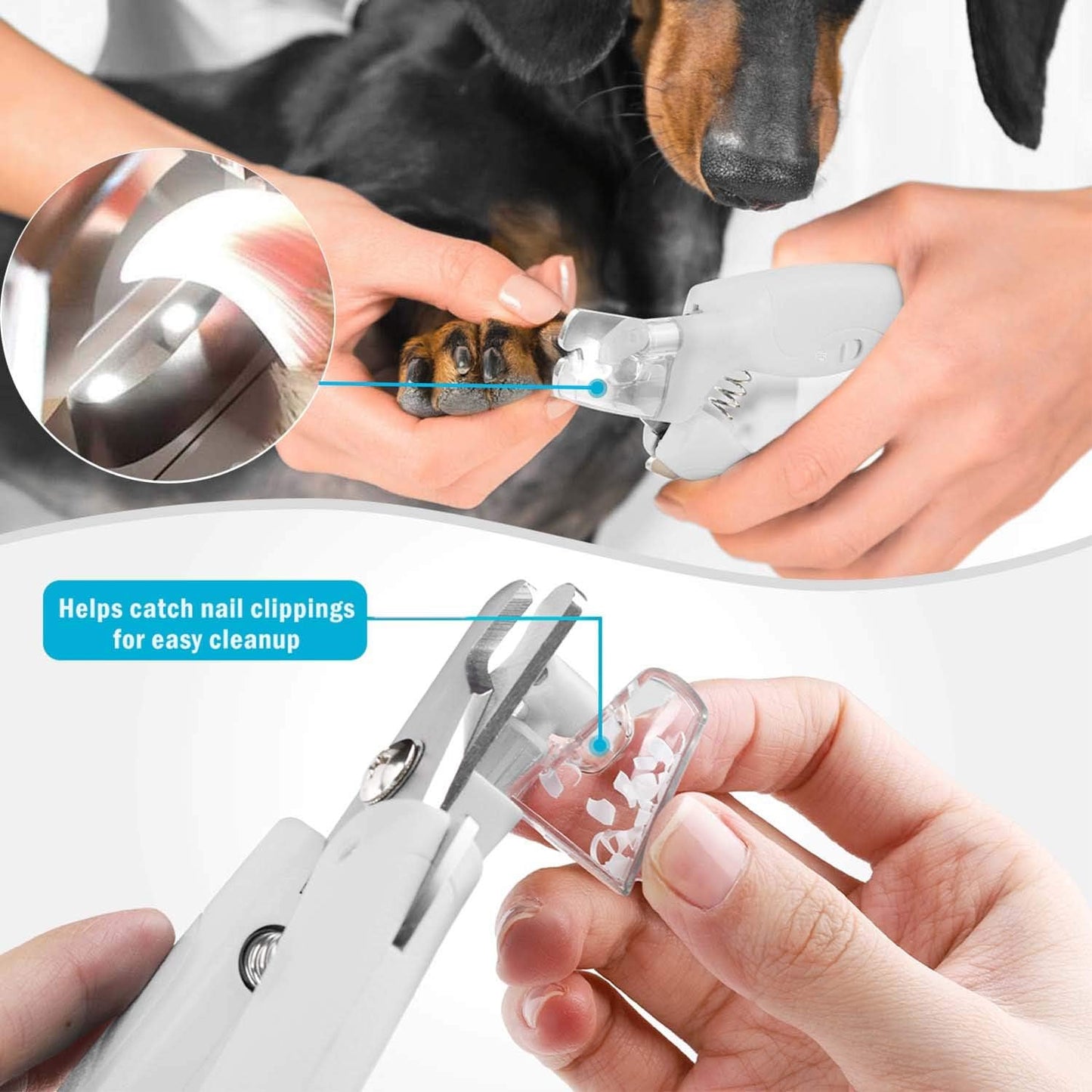NailGuard™ | Sichere Nagelpflege für Ihr Haustier