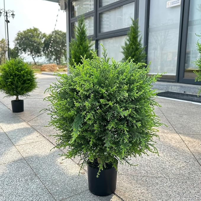 EverGreen-Zeder – dekorativer Outdoor-Baum im Topf