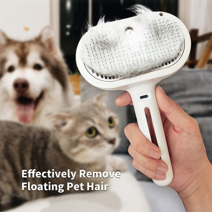 FellGlanz™ – Spray-Katzenbürste | Glänzendes Fell, einfache Pflege | 50% RABATT
