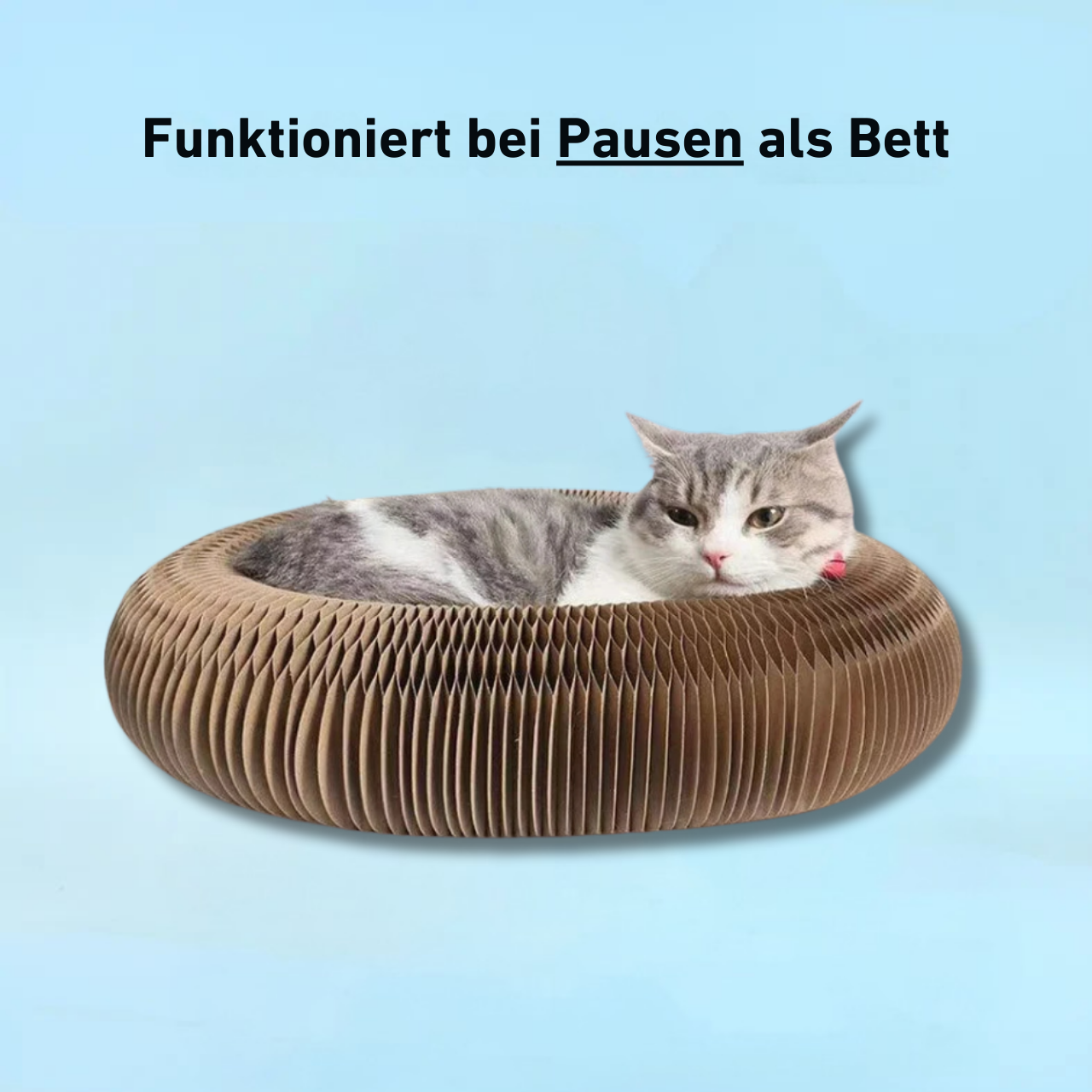 PouncePlay™ – Interaktives Kratzspiel mit Glöckchen für aktive Katzenmomente [50 % Rabatt]
